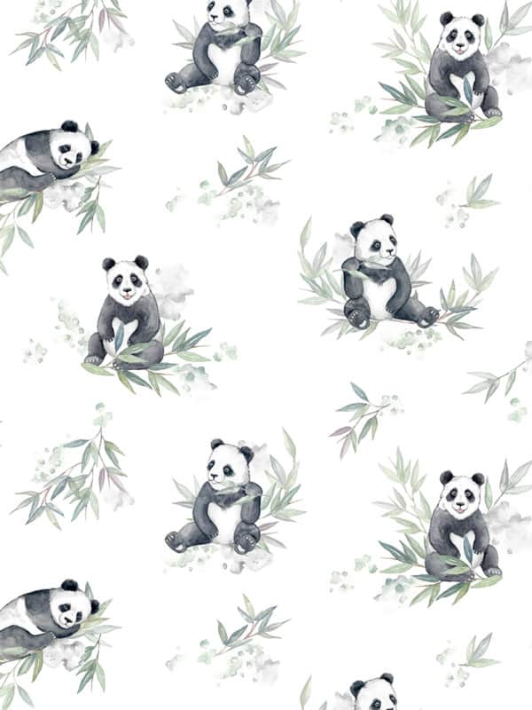 projekt wzoru w pandy i liście bambusa na tkaniny do pobrania